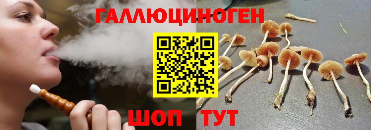 наркошоп  Вход с VPN  Усолье-Сибирское  Псилоцибиновые грибы ЛСД 